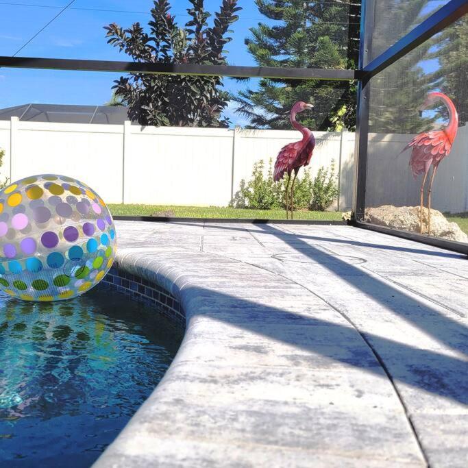 Blue Door Retreat - Luxury Pool Home - Sleeps 8 ケープコーラル エクステリア 写真